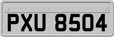 PXU8504