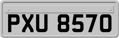 PXU8570