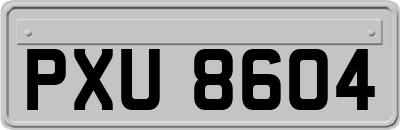 PXU8604