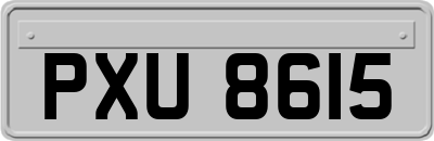 PXU8615