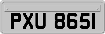 PXU8651