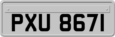 PXU8671