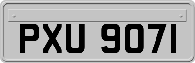 PXU9071