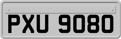 PXU9080