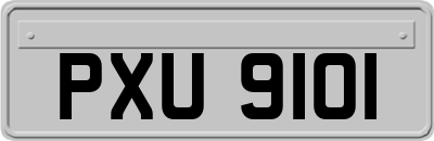 PXU9101