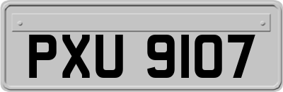 PXU9107