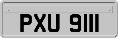 PXU9111