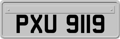 PXU9119
