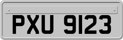 PXU9123