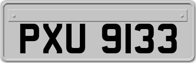 PXU9133