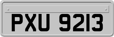 PXU9213