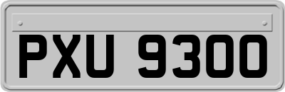 PXU9300