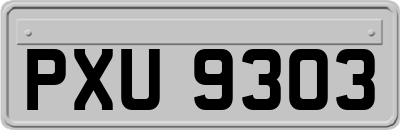 PXU9303