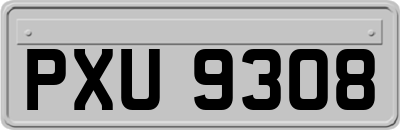 PXU9308