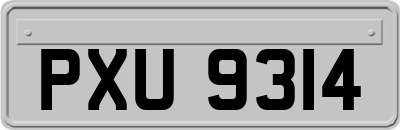 PXU9314