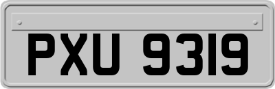 PXU9319