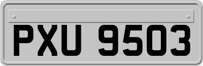 PXU9503