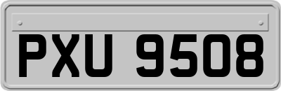 PXU9508