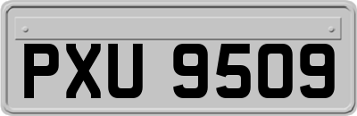 PXU9509