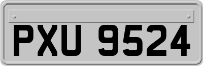 PXU9524