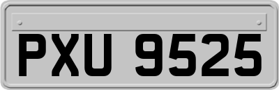 PXU9525