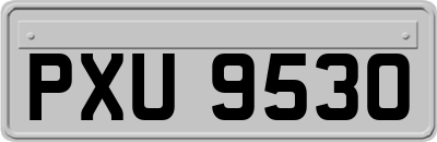 PXU9530