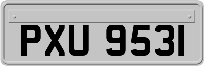 PXU9531