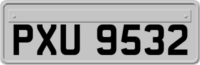 PXU9532