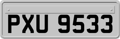 PXU9533