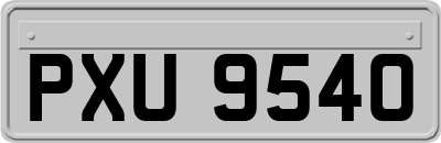 PXU9540