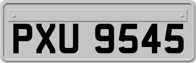 PXU9545