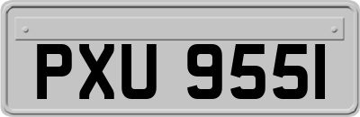 PXU9551