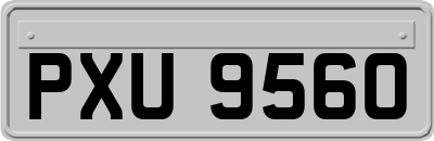 PXU9560