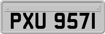 PXU9571