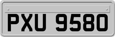 PXU9580