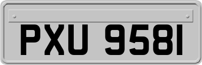 PXU9581