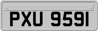 PXU9591