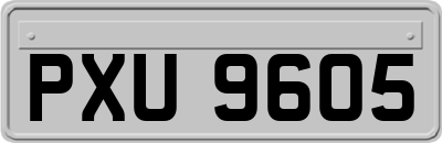 PXU9605