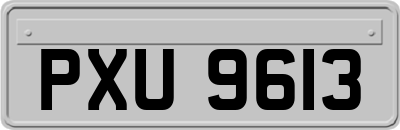 PXU9613