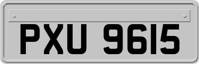 PXU9615