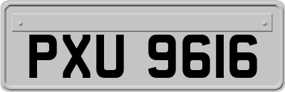 PXU9616