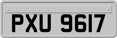 PXU9617