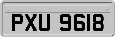 PXU9618