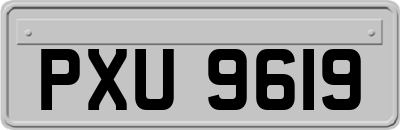 PXU9619