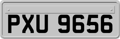 PXU9656