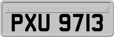 PXU9713