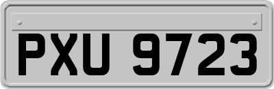 PXU9723