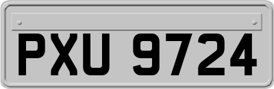 PXU9724