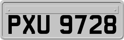 PXU9728