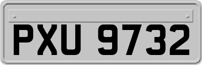 PXU9732